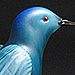 Never Far From Paradise, Molly Stone - Hand Sculpted Glass Bluebird